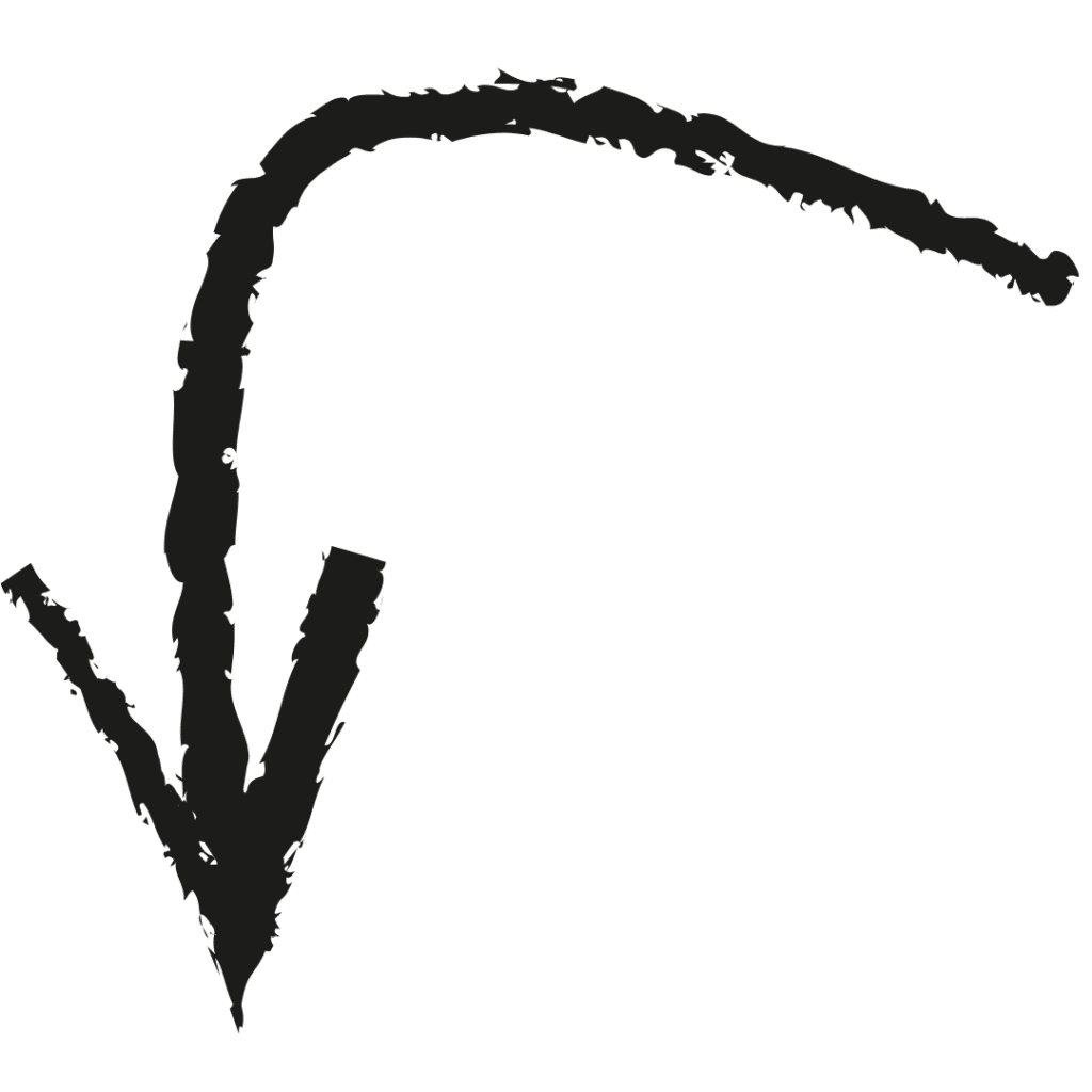 untitled design (2)